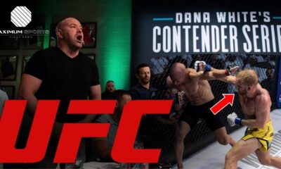 Samuel Bark Sammon Decker UFC DWCS Dana White Contender Series Svensk MMA Maximum Sports