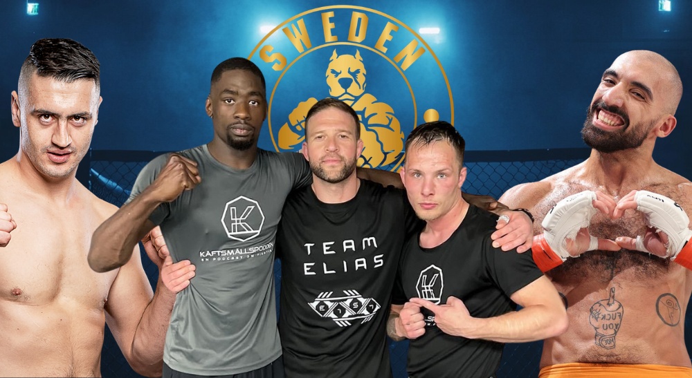 Sweden Top Team fighters