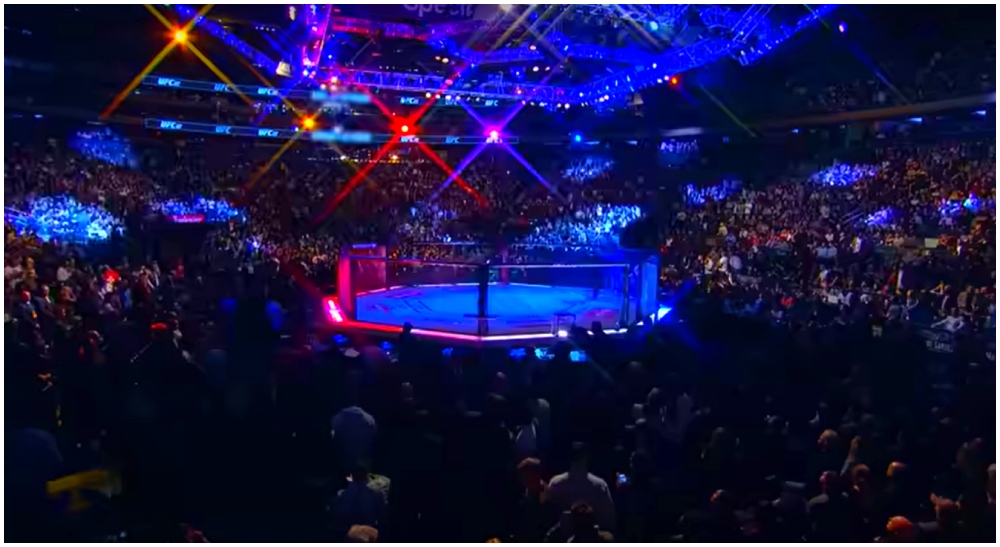 UFC octagon Maximum Sports