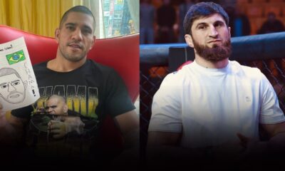 Alex Pereira Magomed Ankalaev UFC MMA