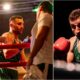 Hammarby Boxning Maximum Sports