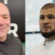 Dana White Khabib Nurmagomedov UFC MMA