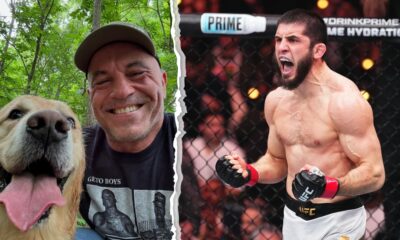 Joe Rogan Islam Makhachev MMA UFC