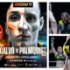 Hanna Palmqvist GBG MAC MMA One Championship WOW 17 Isabel Calvo Maximum Sports